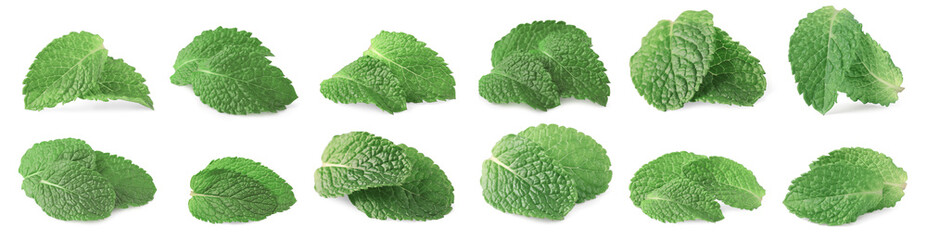 Many fresh mint leaves isolated on white
