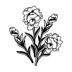 snapdragon flower botanical illustration, Meadow plant vector illustration, Generative AI.
