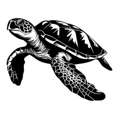 Turtle marine animal icon. Sea turtle silhouette. vector illustration