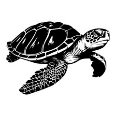 Turtle marine animal icon. Sea turtle silhouette. vector illustration
