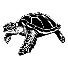 Turtle marine animal icon. Sea turtle silhouette. vector illustration