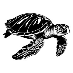 Turtle marine animal icon. Sea turtle silhouette. vector illustration