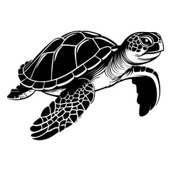 Turtle marine animal icon. Sea turtle silhouette. vector illustration