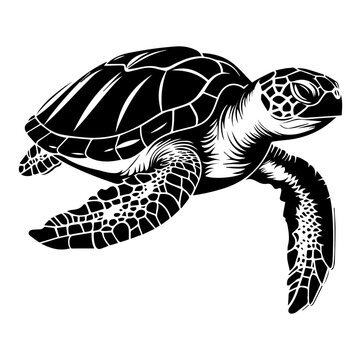 Turtle marine animal icon. Sea turtle silhouette. vector illustration