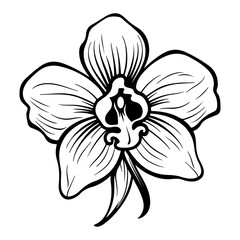 Orchid black and white vector drawing, Generative AI.