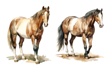 Zelfklevend Fotobehang Aquarel doodshoofd Western horse, watercolor clipart illustration with isolated background