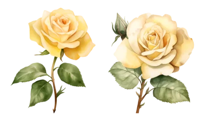 Poster Yellow roses, watercolor clipart illustration with isolated background © NightCreativity