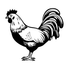 chicken full body, Chicken black icon on white background, Rooster silhouette, Generative AI.