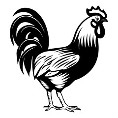 chicken full body, Chicken black icon on white background, Rooster silhouette, Generative AI.