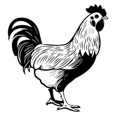 chicken full body, Chicken black icon on white background, Rooster silhouette, Generative AI.