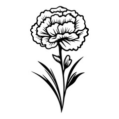 Carnation flower graphic black white isolated sketch illustration vector, Generative AI.