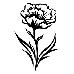 Carnation flower graphic black white isolated sketch illustration vector, Generative AI.