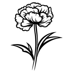 Carnation flower graphic black white isolated sketch illustration vector, Generative AI.
