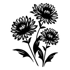 Aster florals hand drawn sketch, Generative AI.	