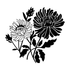 Aster florals hand drawn sketch, Generative AI.	