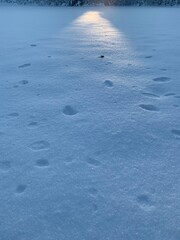frozen lake in winter