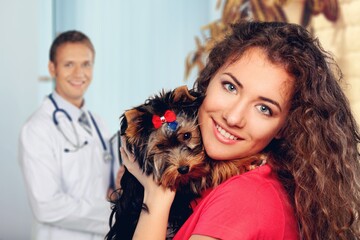 Fluffy cute dog in veterinary clinics