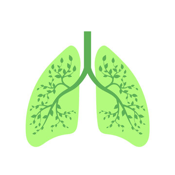 Green human lungs flat illustration. Clean air and health concept.