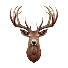 Rolgordijnen Wall mounted, stuffed deer head with antlers isolated on transparent background, hunting trophy with big big antlers  © Mrt