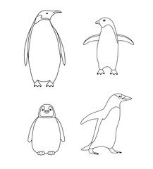 Naklejka premium Vector set of hand drawn flat penguin isolated on white background