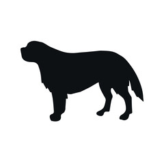 Vector hand drawn Saint Bernard dog silhouette isolated on white background