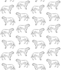 Vector seamless pattern of hand drawn doodle sketch Saint Bernard dog isolated on white background