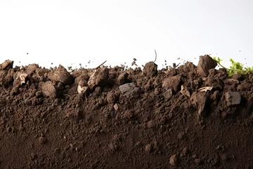 Fotobehang white isolated texture section Soil dirtied dirt edge mud clod cross agriculture background botany brown crop cultivated cut dry earth environmental farm field flat fresh garden © akkash jpg