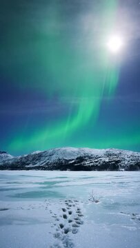 Beautiful aurora dancing towards the moon above frozen snow covered landscapes in early December.