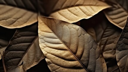 Close-up photograph of beautifully textured dried leaves, a rustic portrayal of autumn's fleeting beauty