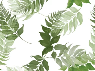 Fotobehang Foliage seamless pattern, green fern leaves on white © momosama