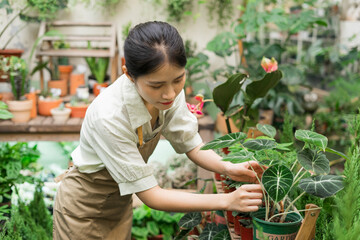 Portrait of Asian woman working in a plant shop