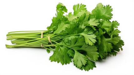 Coriander leaves isolated on white background clipping