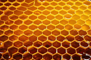 Fotobehang background honeycomb honey comb texture beehive bee beeswax closeup honeyed macro natural new © akkash jpg