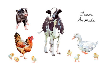 Watercolor cute farm animals collection, livestock illustration