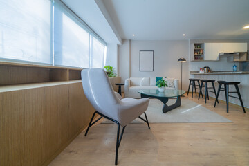 Luminous living room with chair, sofa and crystal table