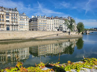 Naklejka premium Paris river bank seine