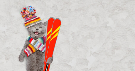 Happy cat wearing warm woolen  hat with pompom and knitted scarf lying on the snow and holding skis...