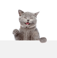 Smiling cat looks above empty white banner. isolated on white background