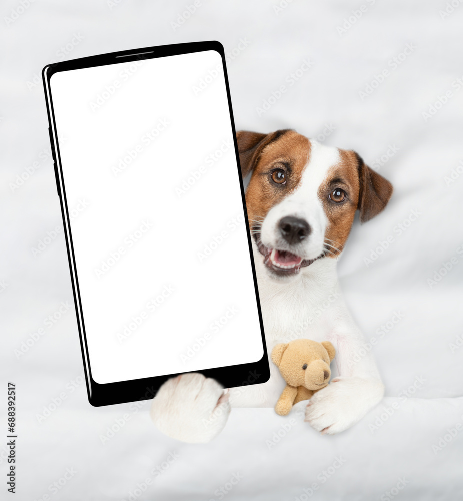 Poster jack russell terrier puppy lying with toy bear on a bed at home and showing big smartphone with whit