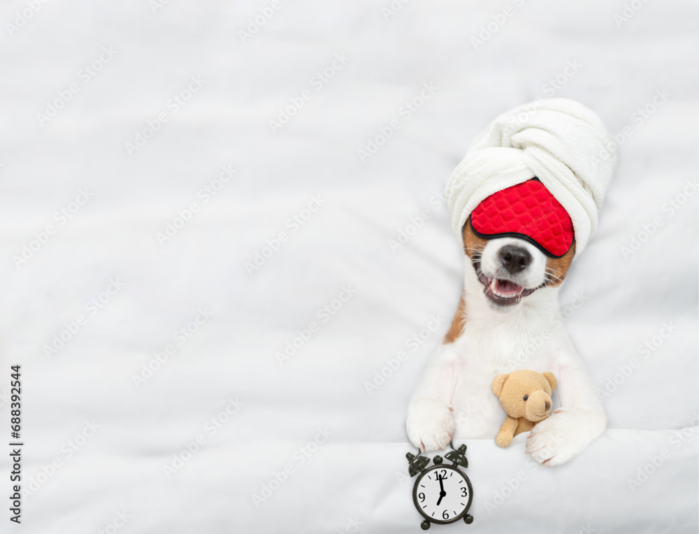 Poster jack russell terrier puppy wearing sleeping mask sleeps with toy bear and alarm clock under white bl