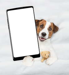 Jack russell terrier puppy lying with toy bear on a bed at home and showing big smartphone with...