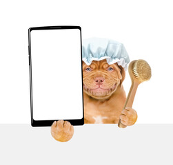 Mastiff puppy wearing shower cap holds shower brush and big smartphone with white blank screen in it paw above empty white banner. isolated on white background
