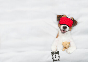 Cozy jack russell terrier puppy wearing sleeping mask sleeps with toy bear  and alarm clock under white blanket on a bed at home. Top down view