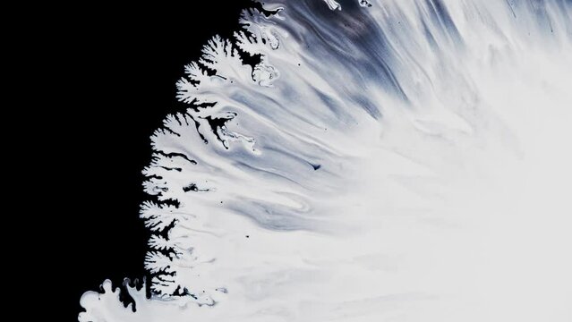 Abstract art come to life footage. Fluid motion of white and black, creating textured fractals in constant flux. The flowing effect of the liquid paint with pattern swirls.
