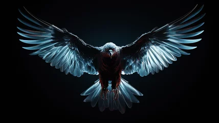 Fotobehang eagle, large bird of prey on a black background, art, fantasy, unusual bright predator © kichigin19