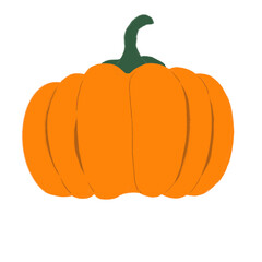 Autumn Pumpkin Illustration