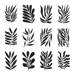 Fototapeta premium Abstract leaves silhouette illustration vector