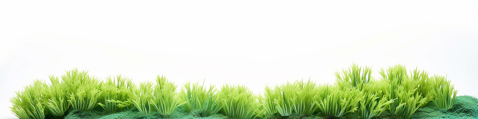 Obraz premium a row of 3d green grass on a white background.