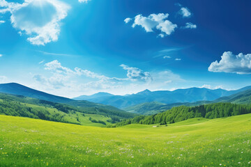 Fototapeta na wymiar Panorama view of beautiful green meadow and rolling hills with beautiful clear sky. Mountain landscape.