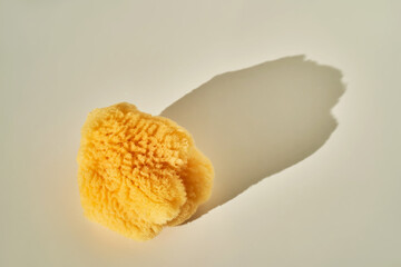 Natural sea sponge for face and body in the sun.